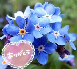 ありがとうございました