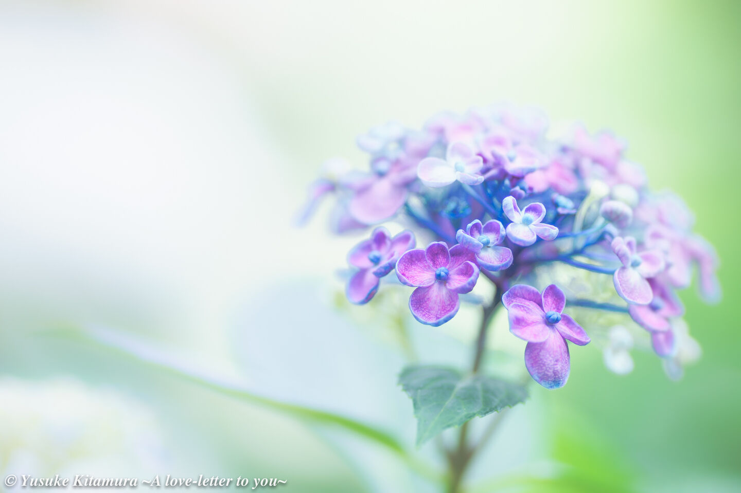 12日(木)　12時　&#9825;様