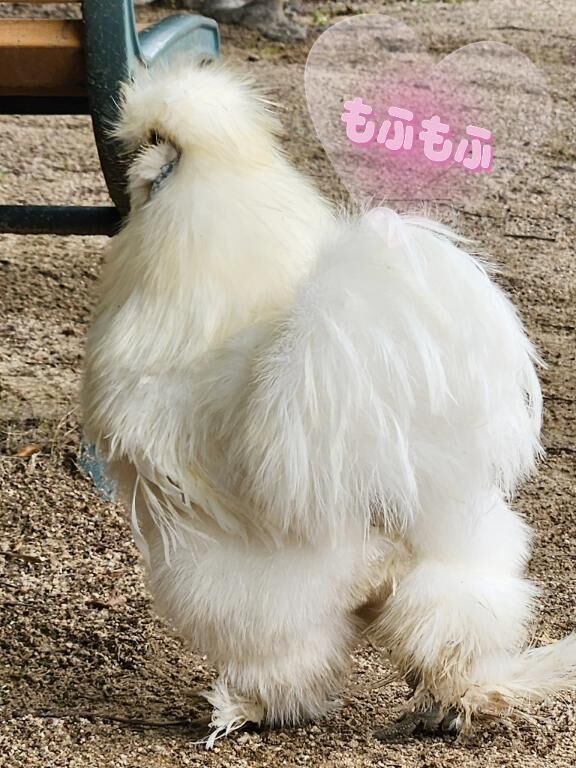 王子動物園&#9312;
