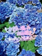 皆様ありがとう♡