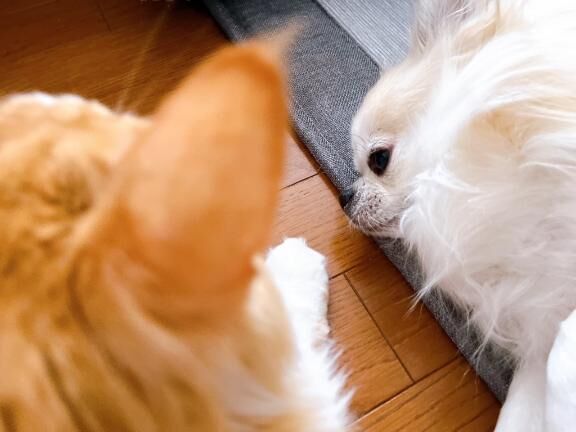 &#9825;おはようございます&#9825;