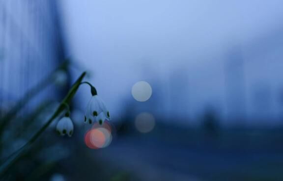今年の梅雨は