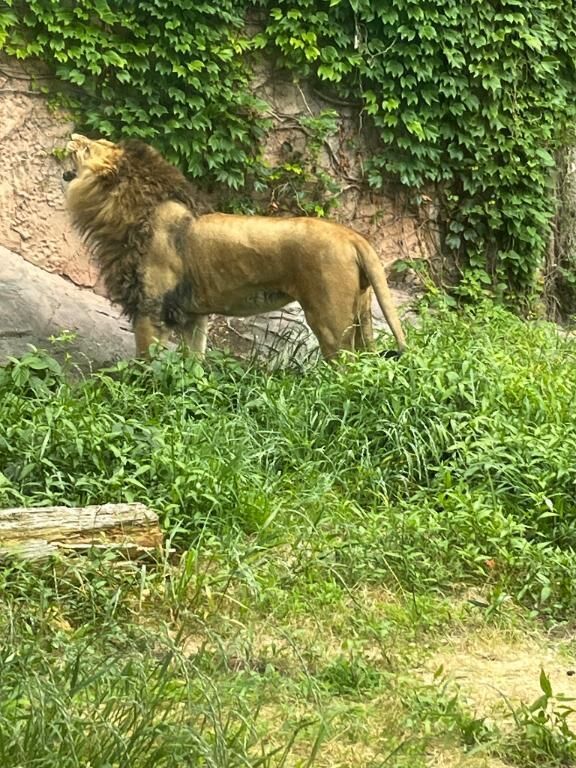 【お礼写メ日記】クチコミありがとう