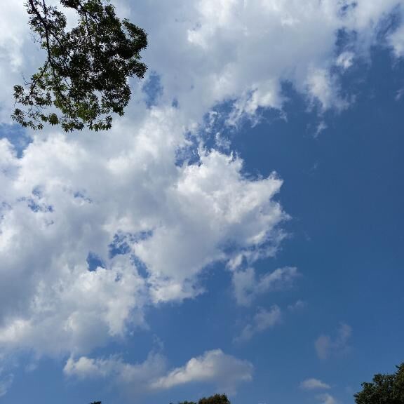 申し訳ありません…