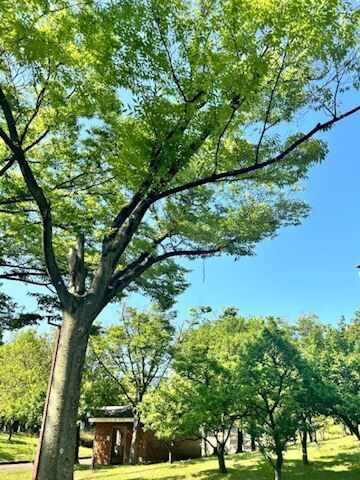 今日からまた&#9825;&#9825;