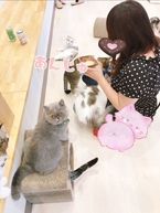 今週ラストだよ〜((꜆꜄ ˙꒳˙)꜆꜄꜆