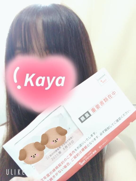 更新。
