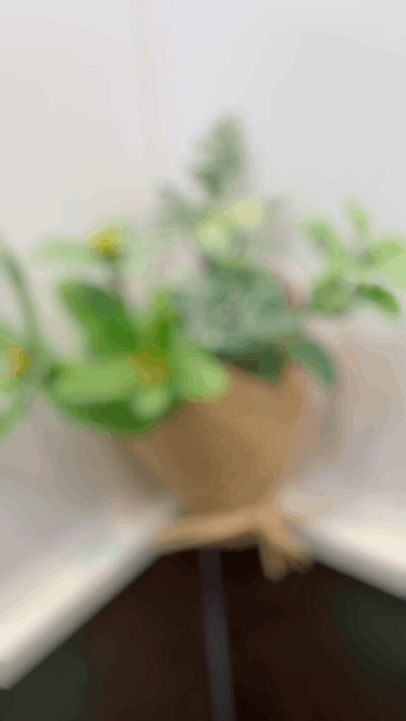 きれい