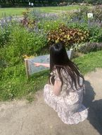 急きょ変更になりました