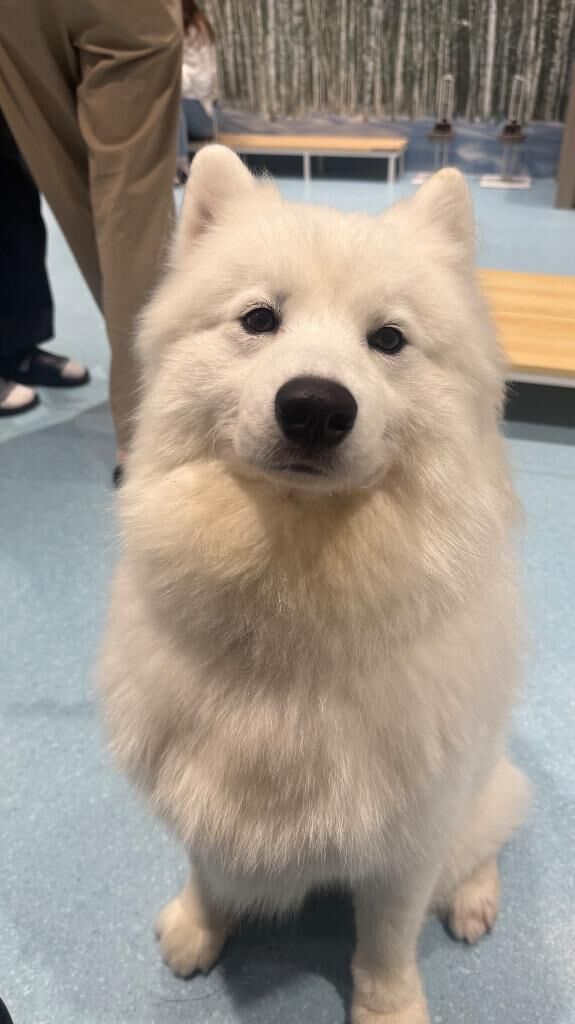&#9825;&#9825;･&#9825;･&#9825;&#9825;