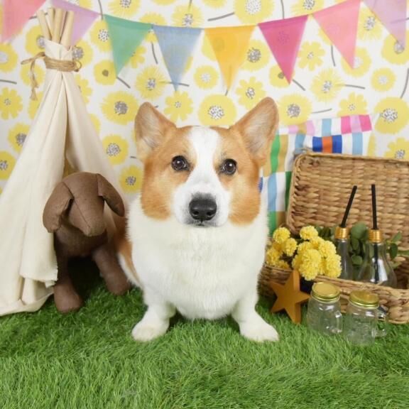 生理休暇(´･ω･`)