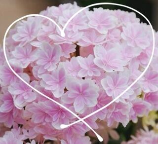 お礼です&#10084;&#65038;