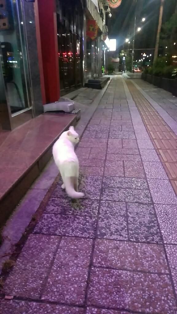 おやすみ