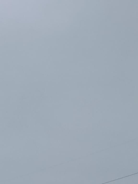 今日も