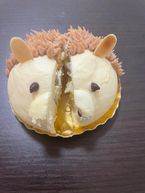 献血DAY