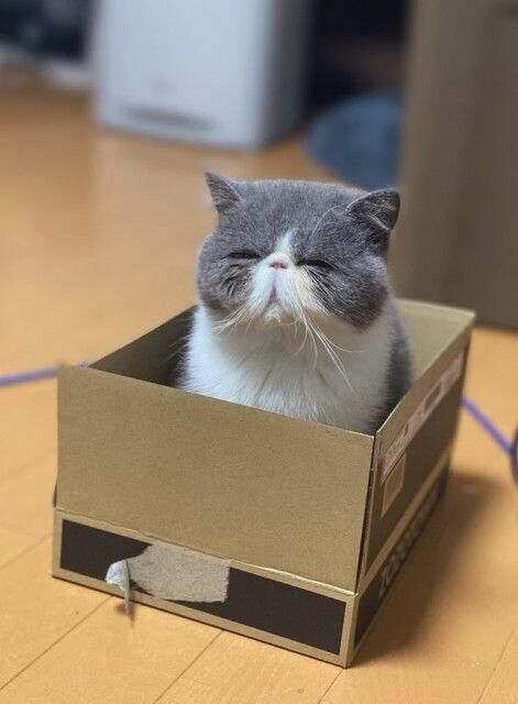 昨日の再会の御客様へ。(^ ^)