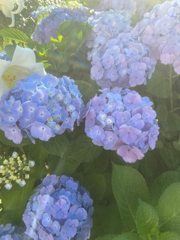 あと