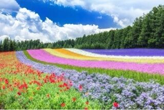 はじめまして