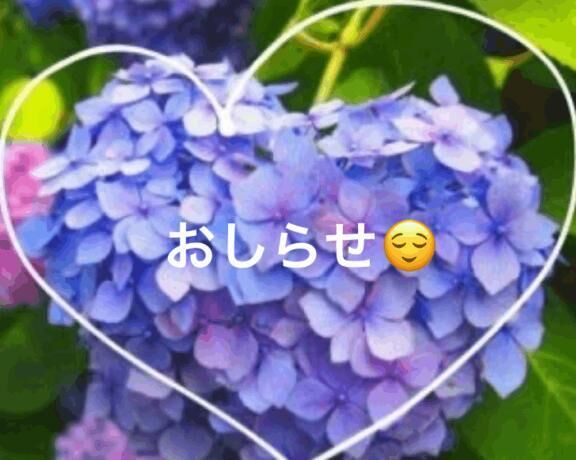 お試し中(^_^;)
