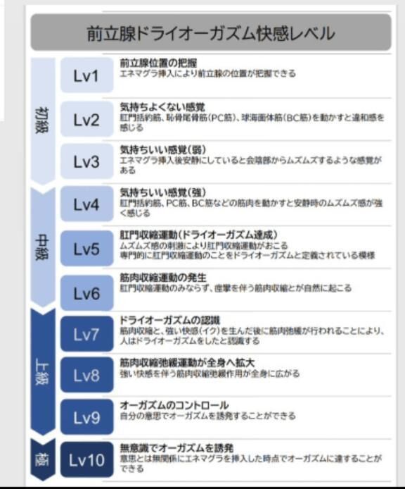 前立腺ドライオーガズムについて