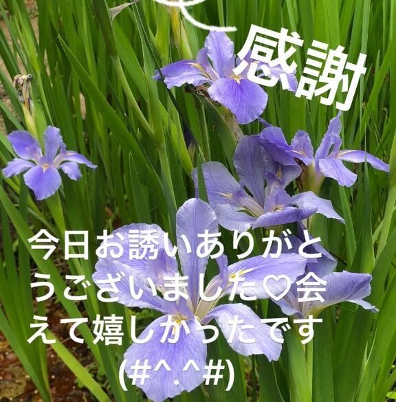 お礼です&#9825;