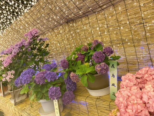 こんばんは&#128522;