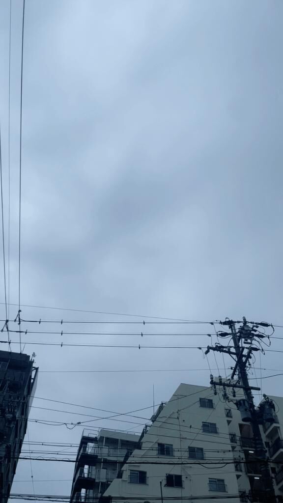 これは…&#9825;