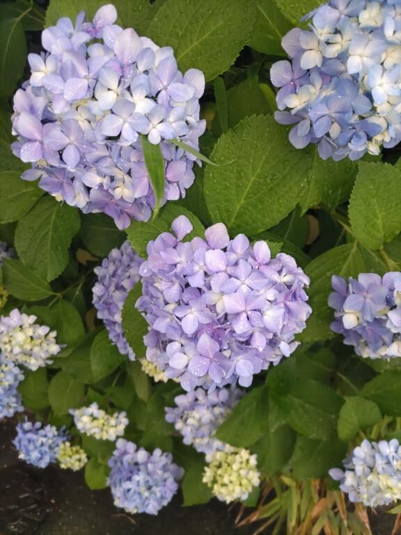 びっくり