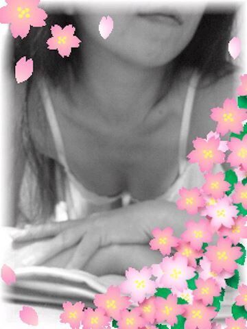 お休みです。