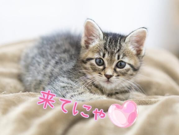 イメージ