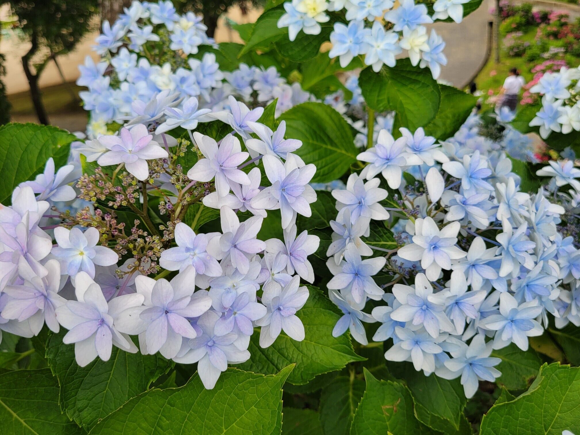 16日(月)　16時　&#9825;様