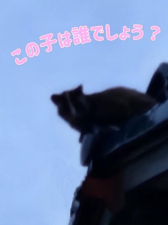 動物王国な我が家&#129441;