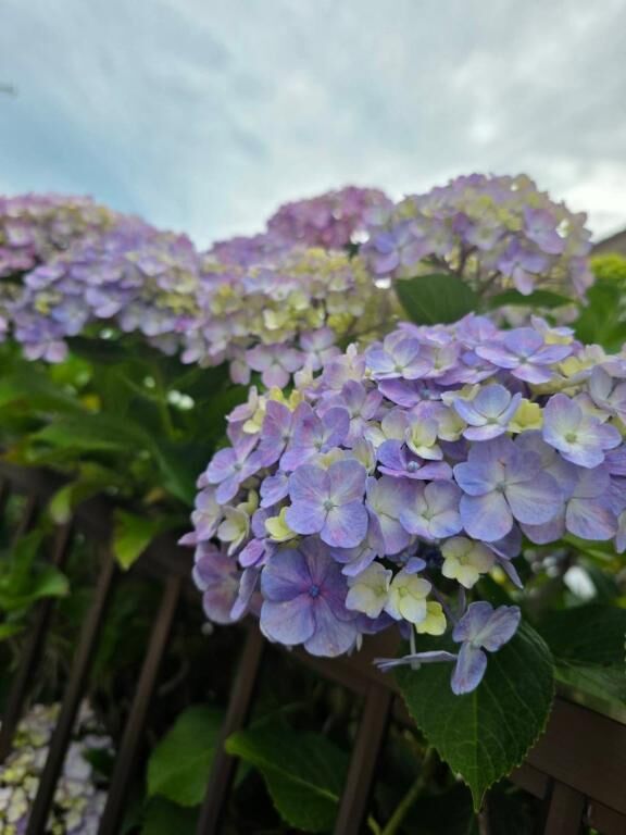 最近は､､&#9825;