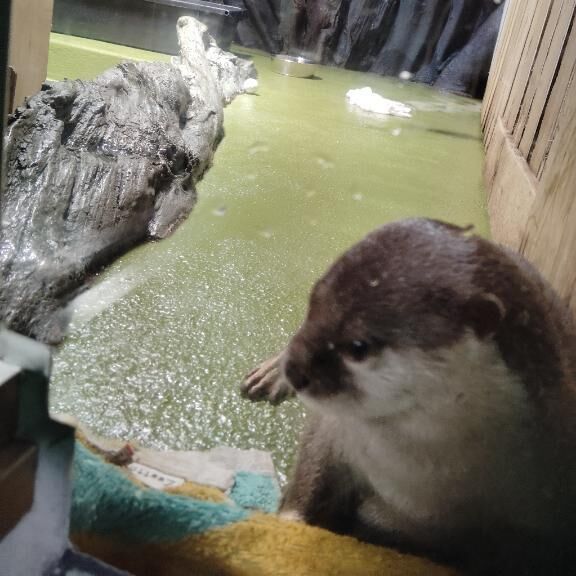 夏は裸族