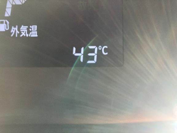 これは一体…&#129300;