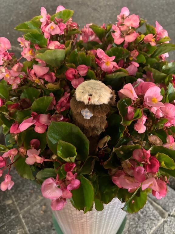 なかよぴ