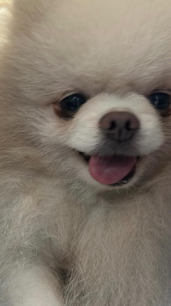 ♡