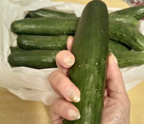 朝採れ野菜&#9825;