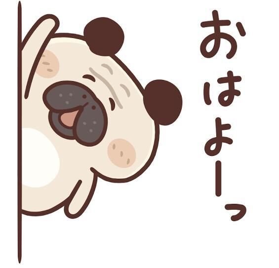 折り返しの水曜日…