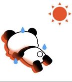 おはようございます