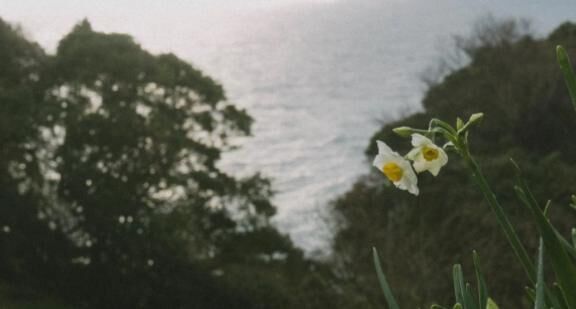浴衣