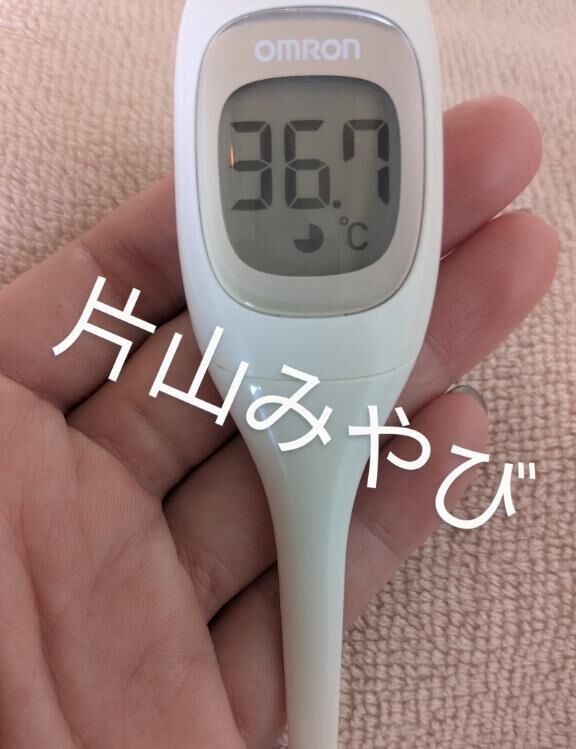 本日の体温(*´Д｀)