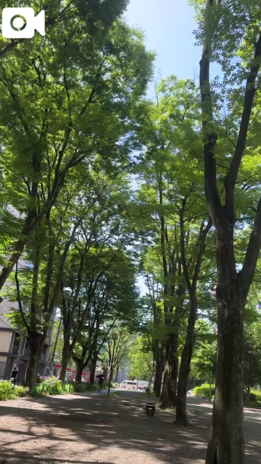 &#128035;幸せのお裾分け&#128330;&#65039;