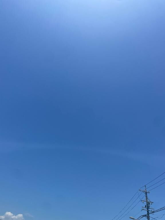 日陰が恋しい