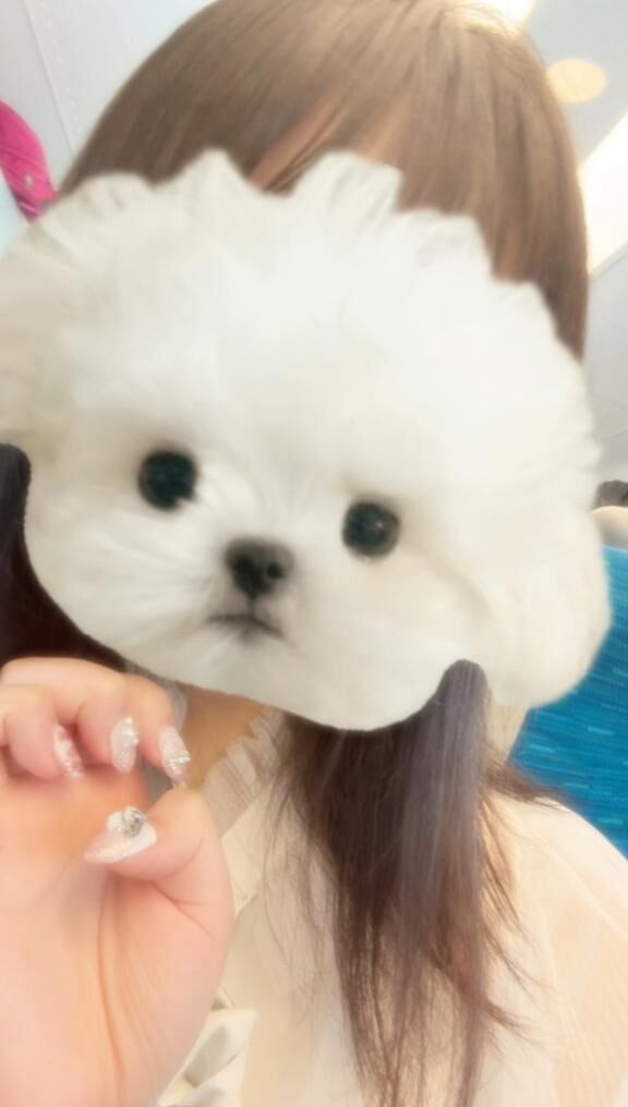 見て見て&#9825;