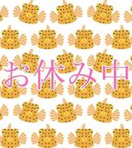 お休み中