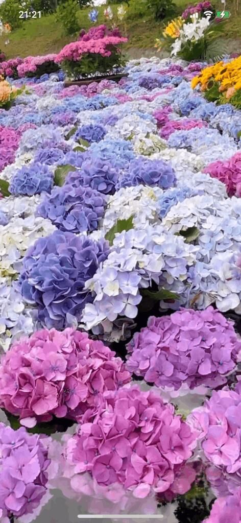 女の子day&#9825;&#9825;♀&#9825;