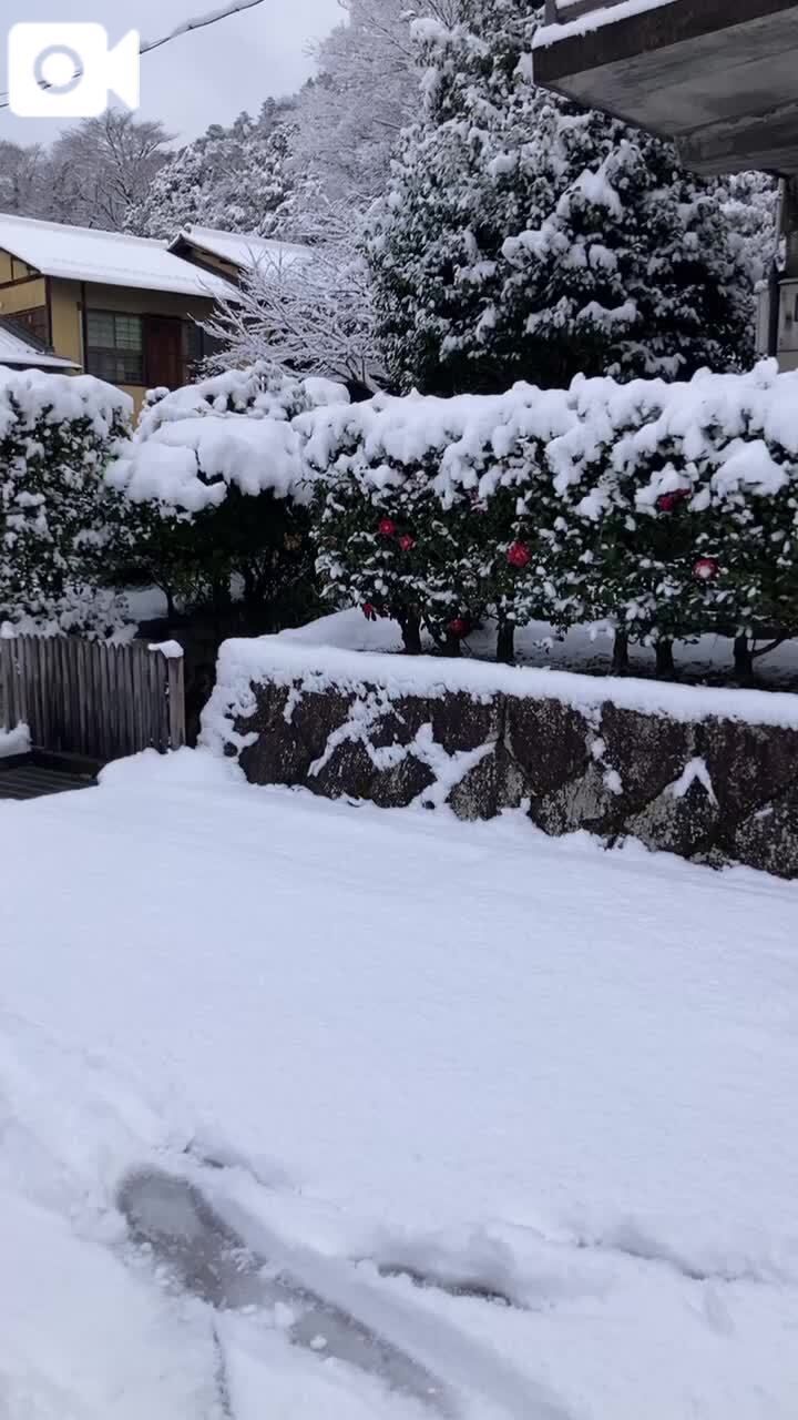 求ム涼