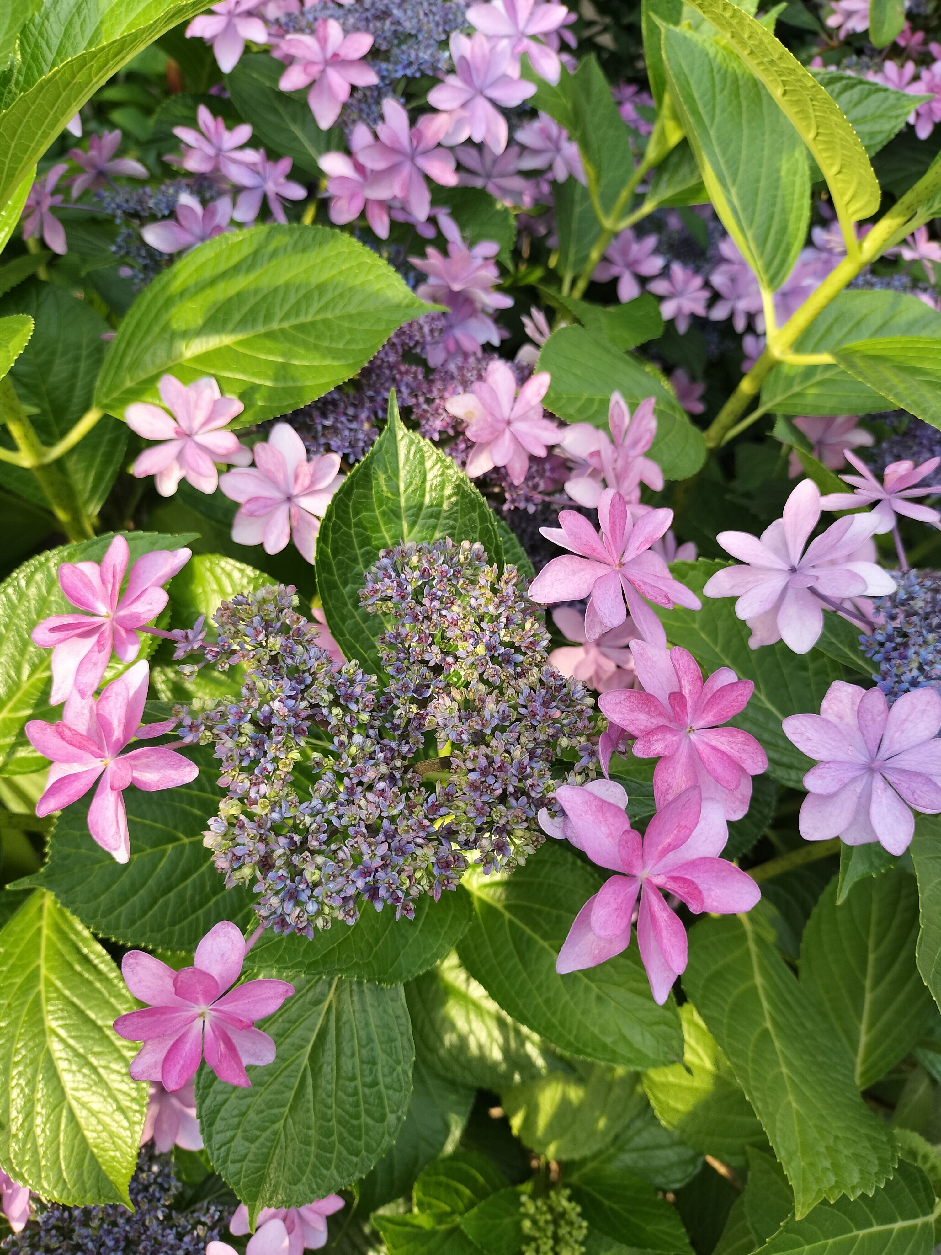 今日いるよ&#x301C;&#9825;