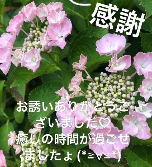 お礼です♡